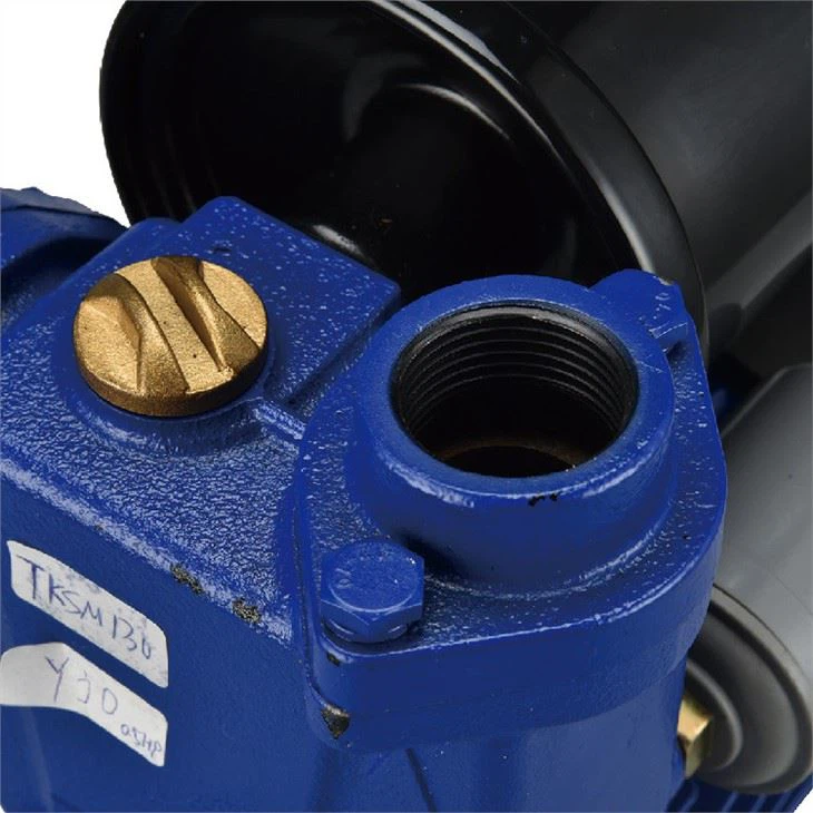 self-priming peripheral pump  (6)